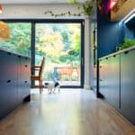 Wooden flooring with blue cabinetry and a cat.